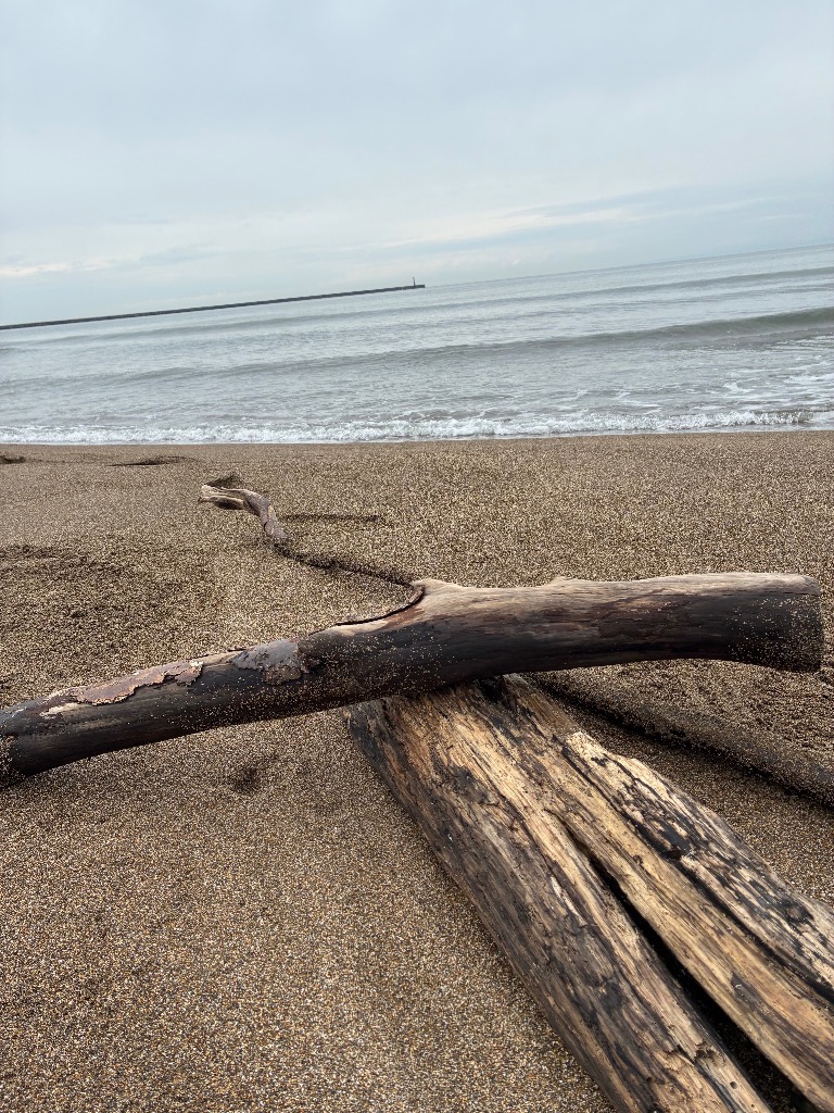 今日の一言　10