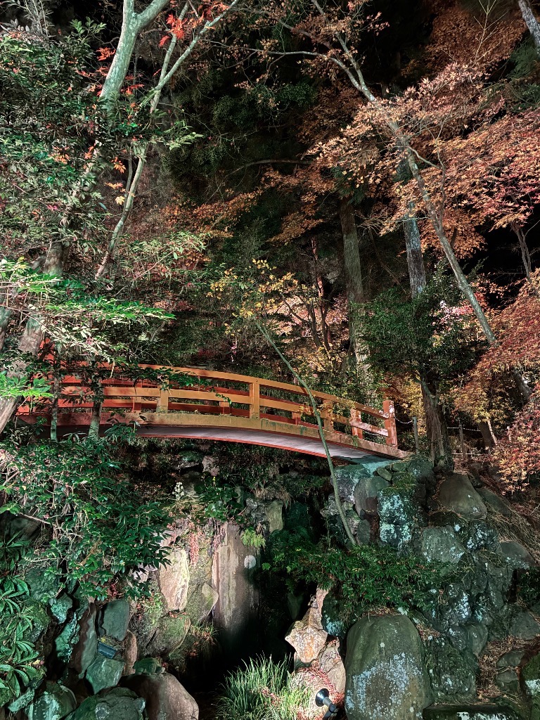 今日の一言　11